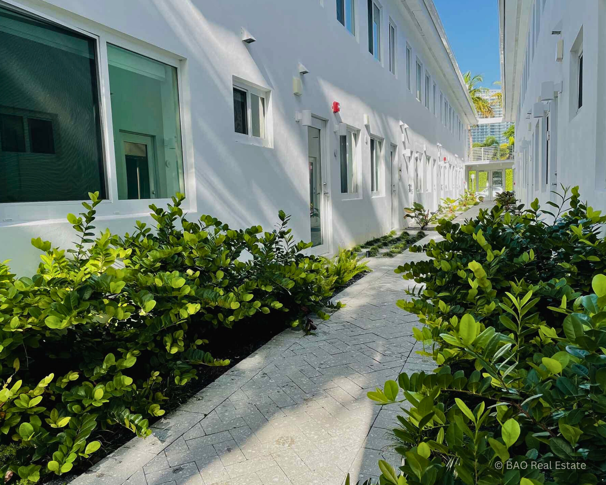 Miami Beach 5